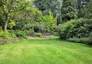 Optimiser l'expérience du jardin à Culmont
